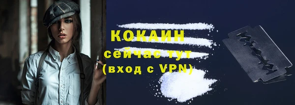 СК Козловка