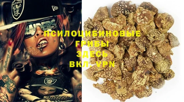 СК Козловка